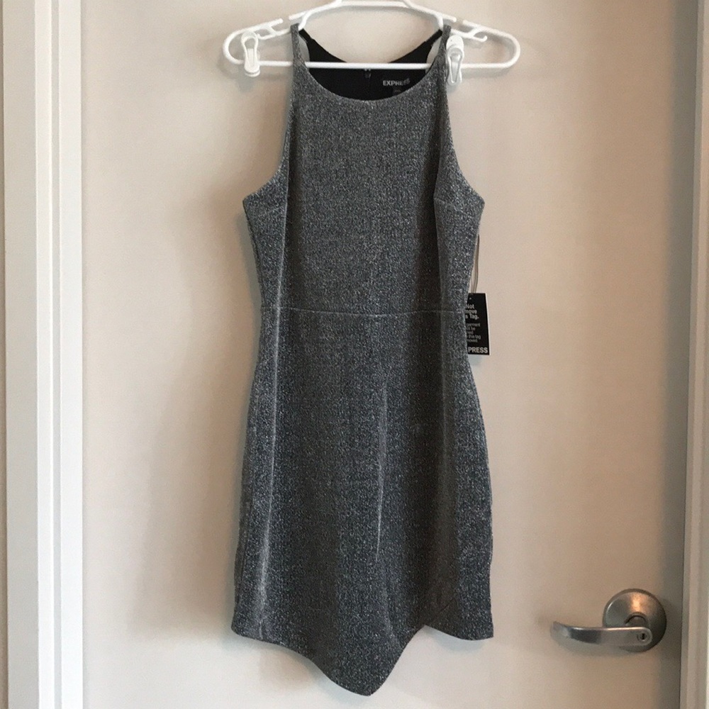 Express Silver Party Dress